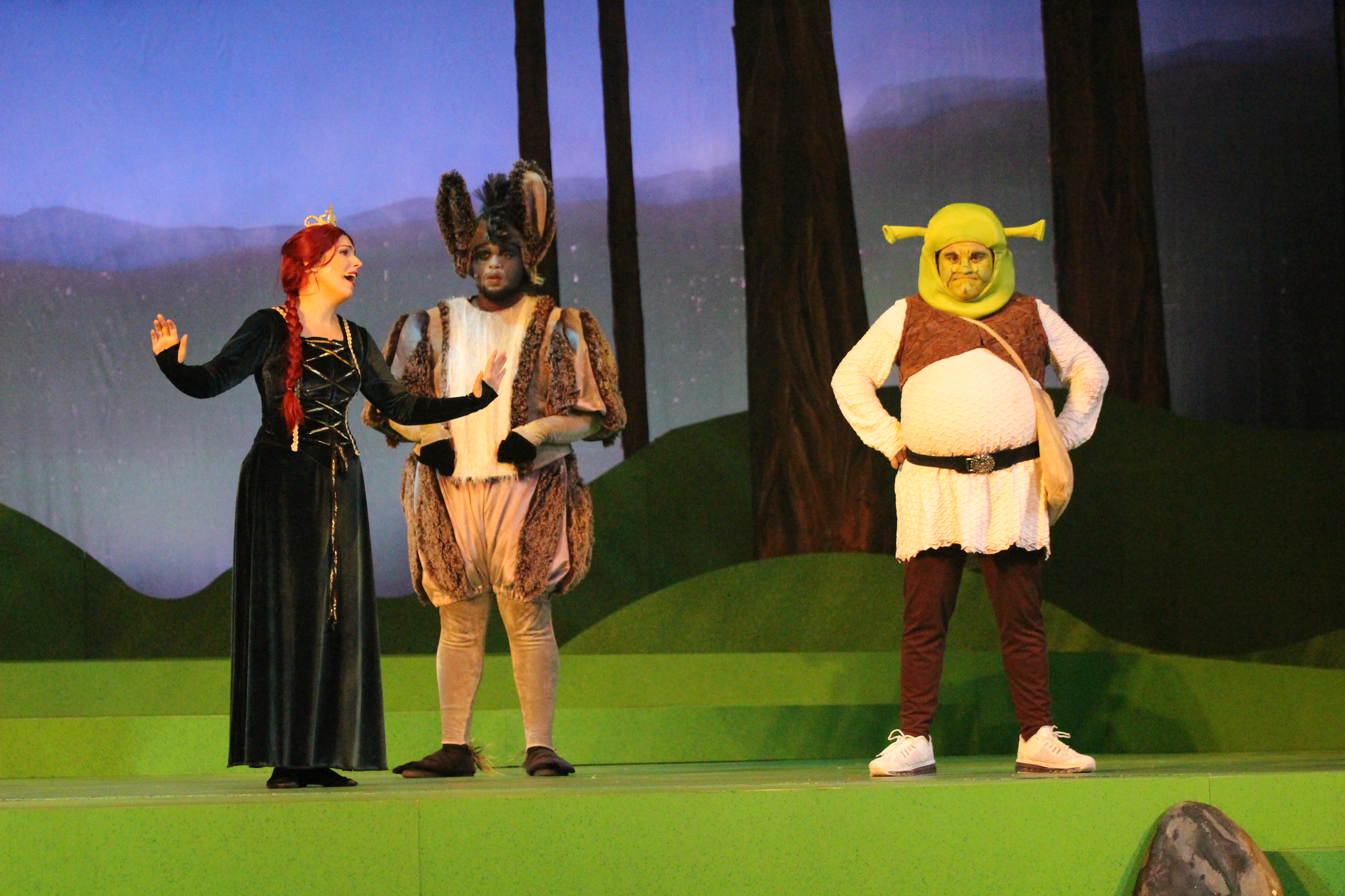 Shrek The Musical The Rose Theater